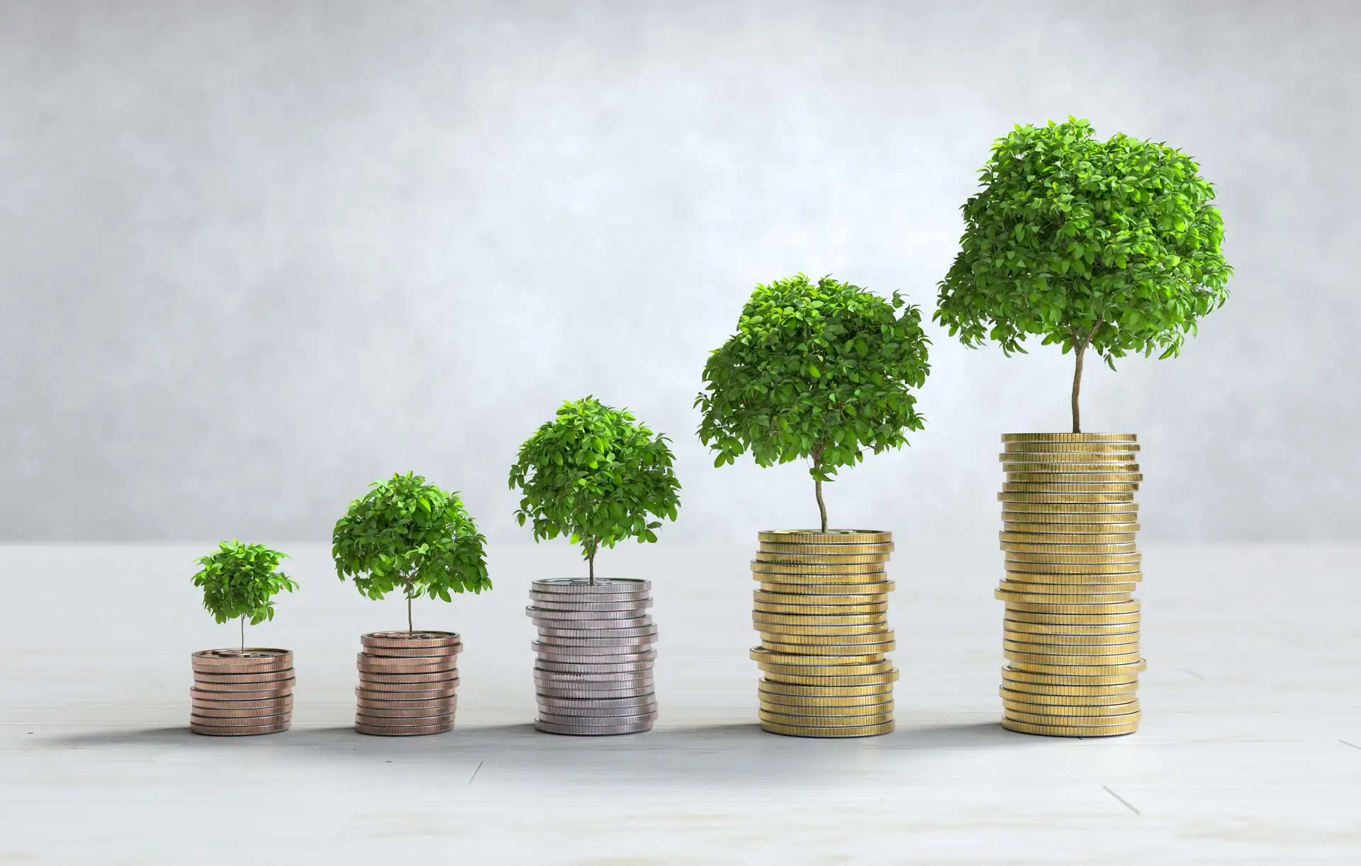 Building a Business Budget: Foundational Steps for Financial Success